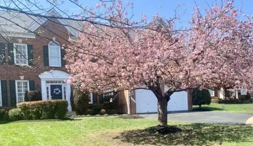 5422 Sherman Oaks Ct, Haymarket, VA 20169 - #3