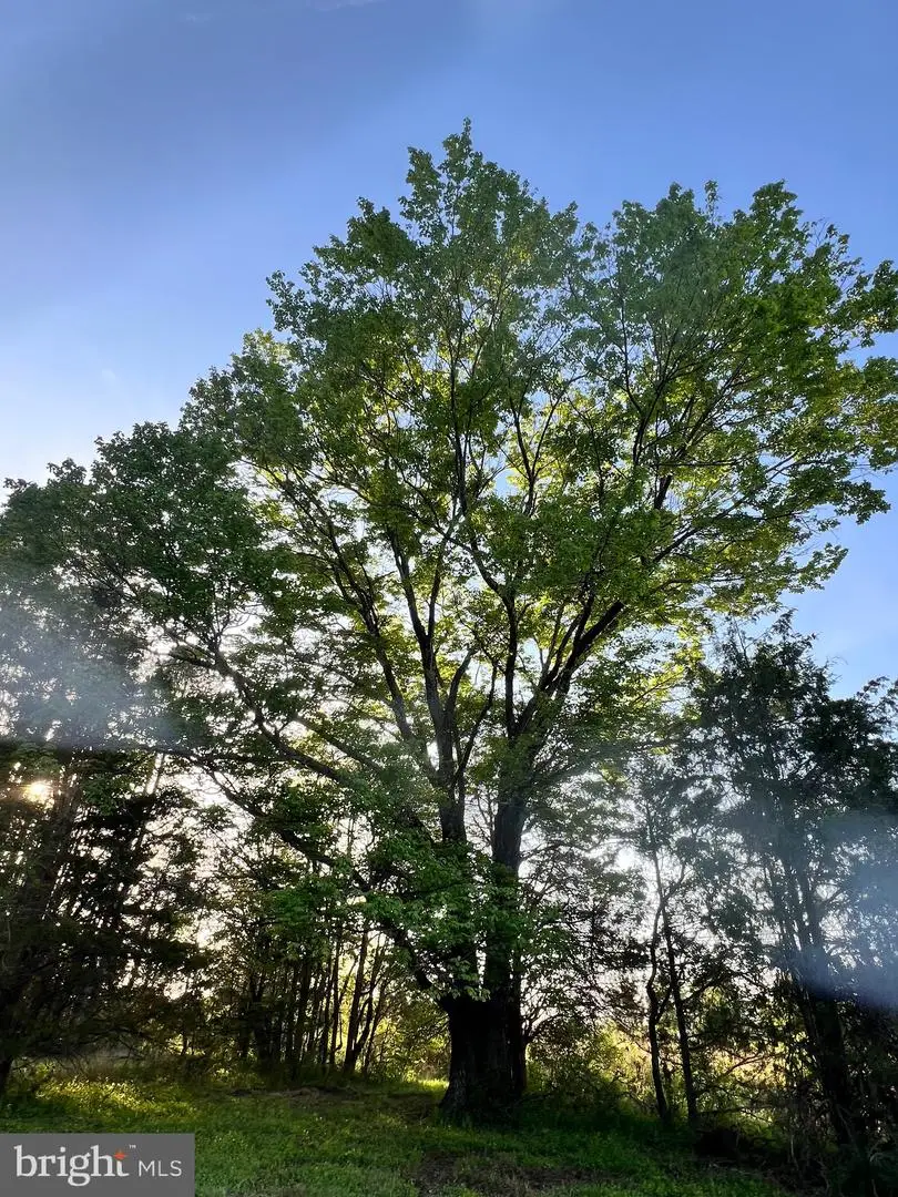 13109 Thornton, Gainesville, VA 20155 - #3