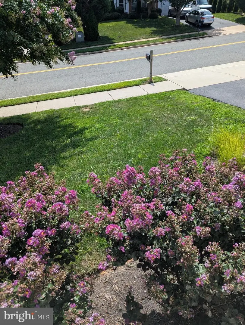 5598 Websters Way, Manassas, VA 20112 - #2