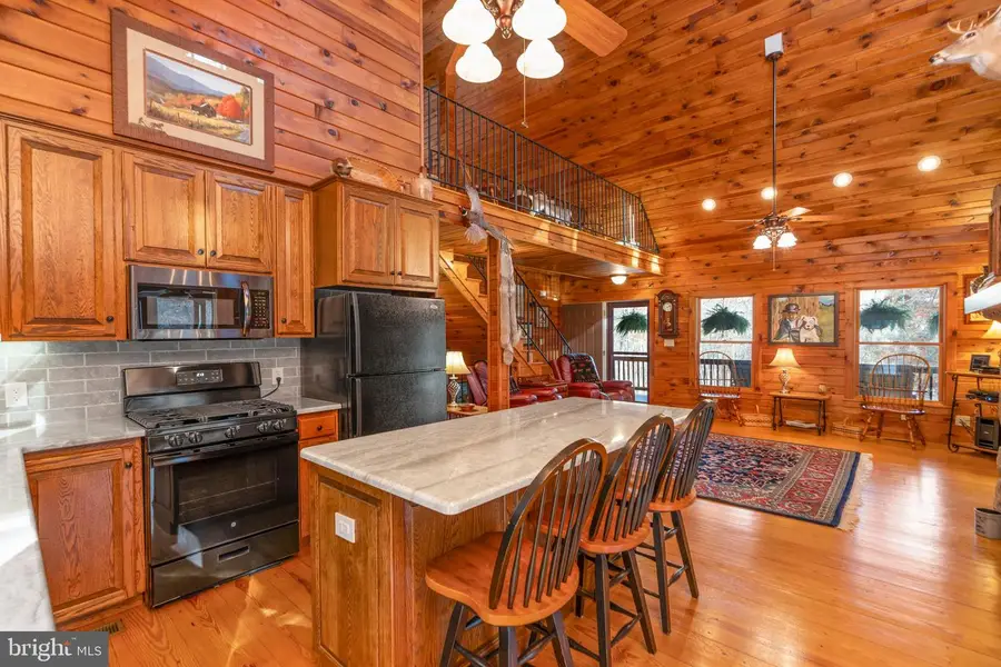 22606 German River Rd, Criders, VA 22820 - Image #2