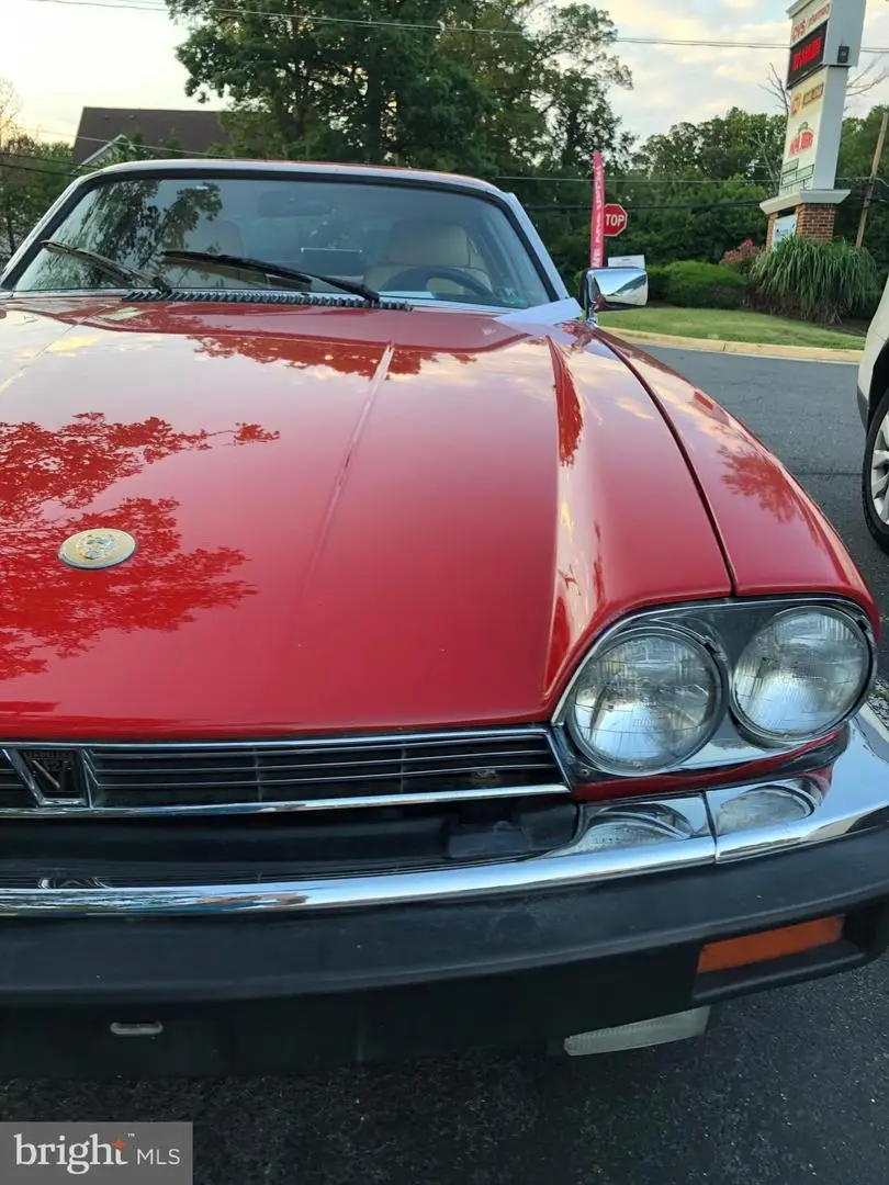 Bearfoot Ln Lot133-(2)-l2-5083-5889 Bearfoot Ln #5083,5130,5454,5889, Elkton, VA 22827 - #3