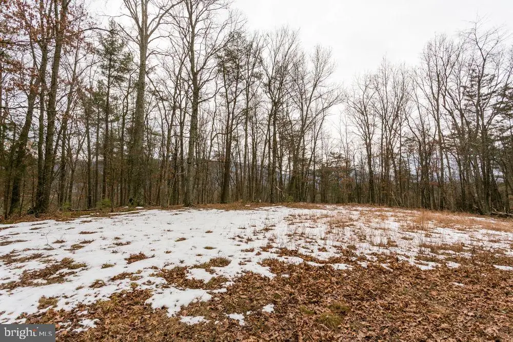 Lot 44 Rainbow Ridge Rd, Bergton, VA 22811 - #1