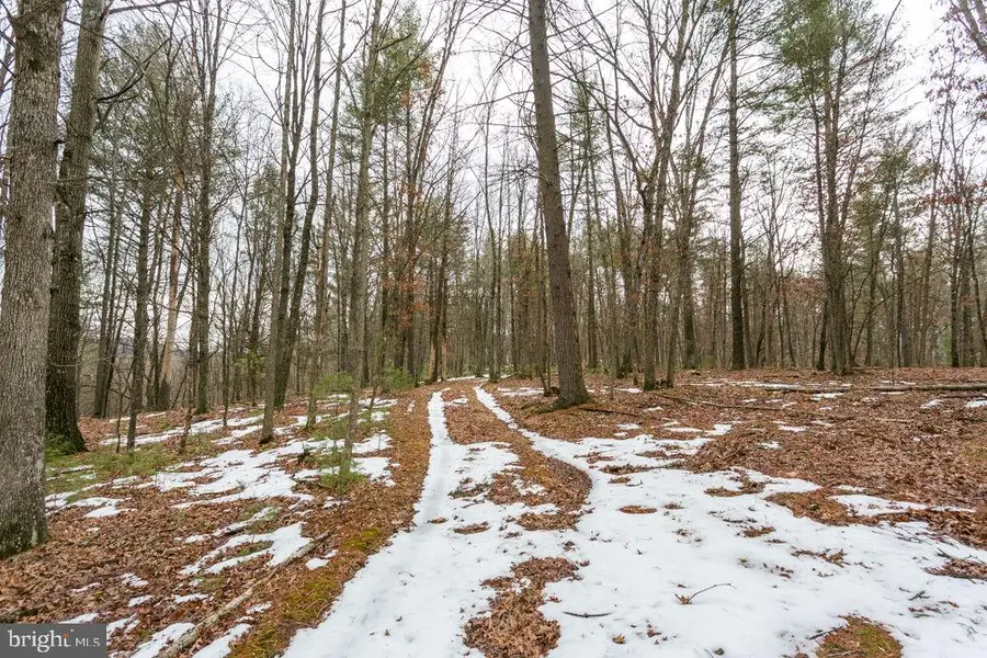 Lot 44 Rainbow Ridge Rd, Bergton, VA 22811 - #3