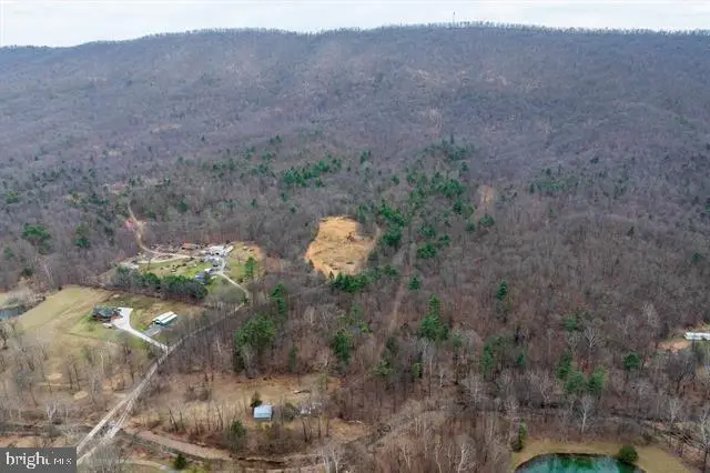 Hopkins Gap Rd, Fulks Run, VA 22830 - #3