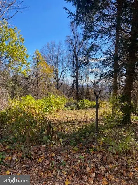 0 Foggy Lane, Chester Gap, VA 22623 - Image #3