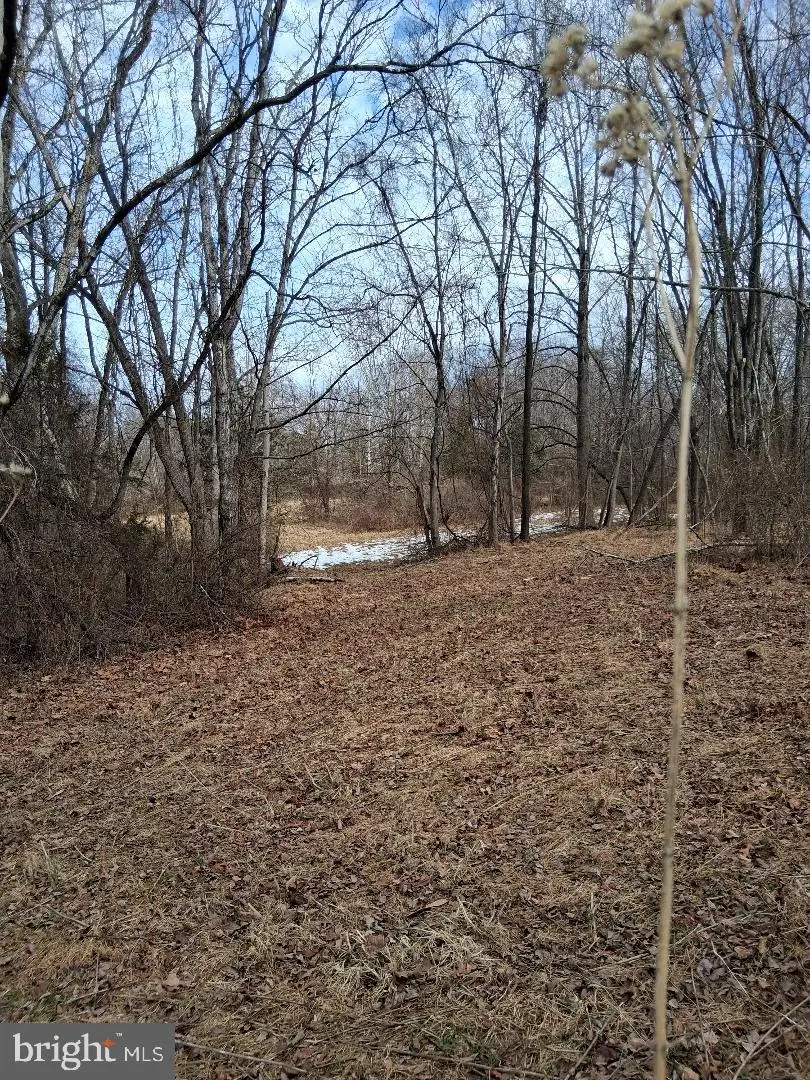 369-a Rock Mills Rd #a, Washington, VA 22747 - #3