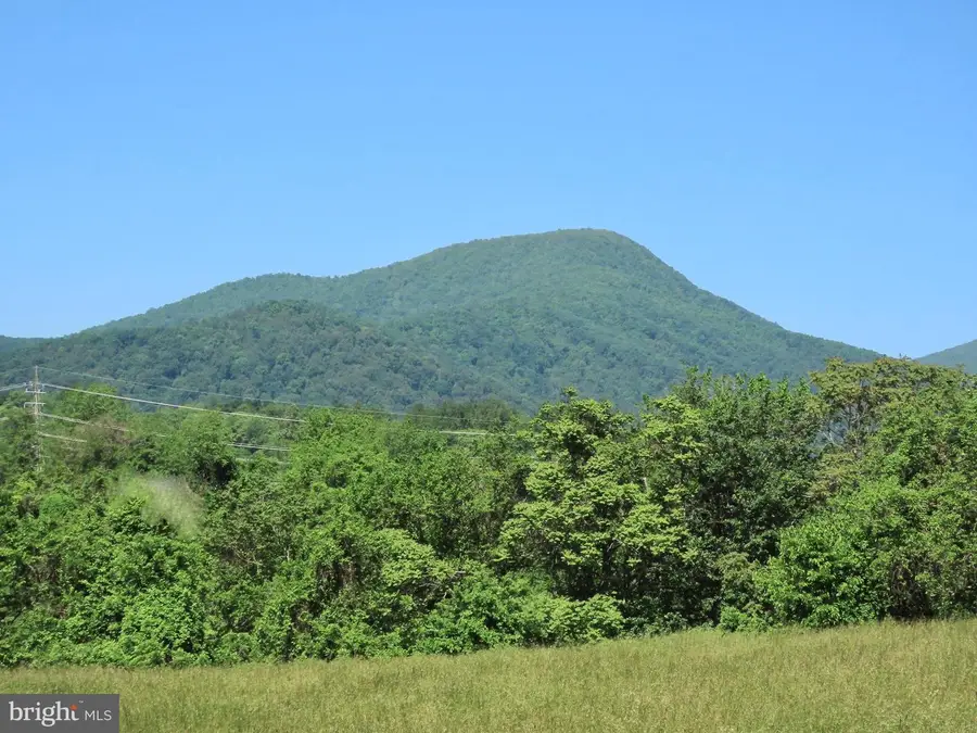 Ben Venue Rd, Flint Hill, VA 22627 - #3