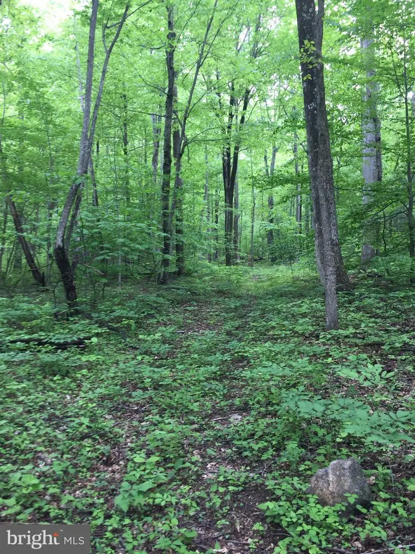 0 Padua Lane, Sperryville, VA 22740 - #2