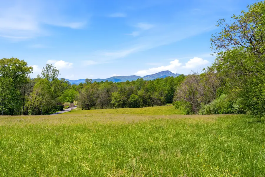 15 Chilton Ln, Sperryville, VA 22740 - #2
