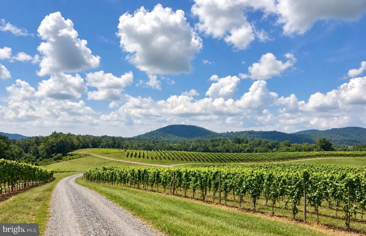 03 Vineyard Ln, Woodville, VA 22749 - #1