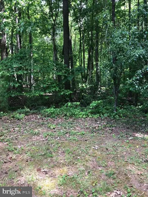 Turkey Trot, WARSAW, VA 22572
