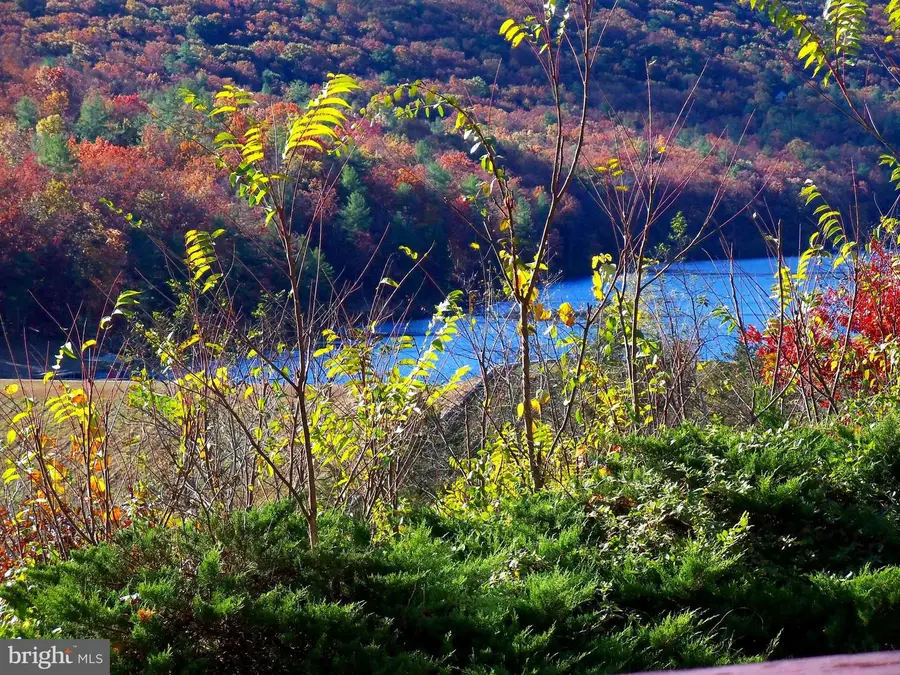 426-30a The Hill Rd Rd #l-30, Basye, VA 22810 - Image #3