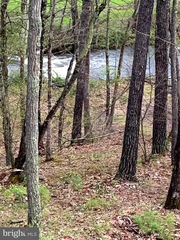 Address Withheld By Seller, BASYE, VA 22810