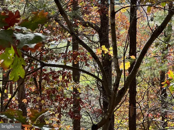 0 Brenda Ln, BASYE, VA 22810