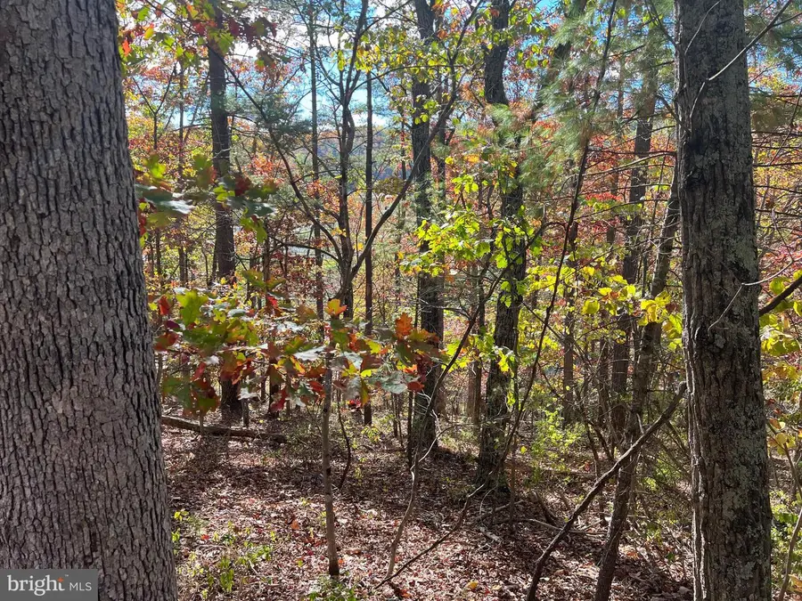 0 Brenda Ln, Basye, VA 22810 - Image #2