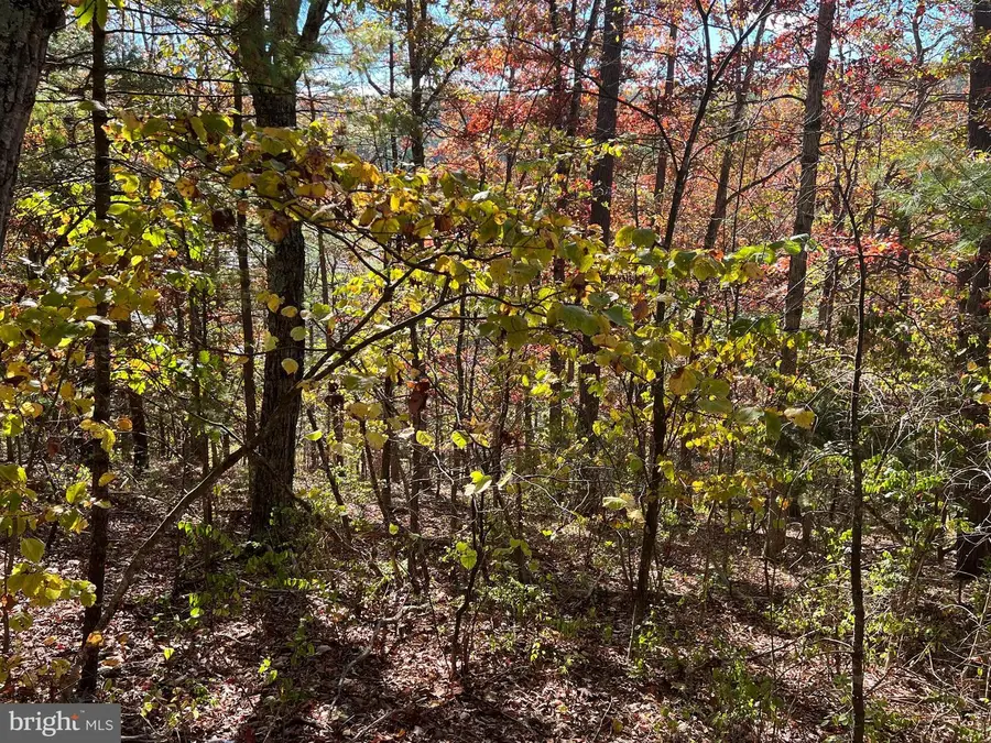 0 Brenda Ln, Basye, VA 22810 - Image #3