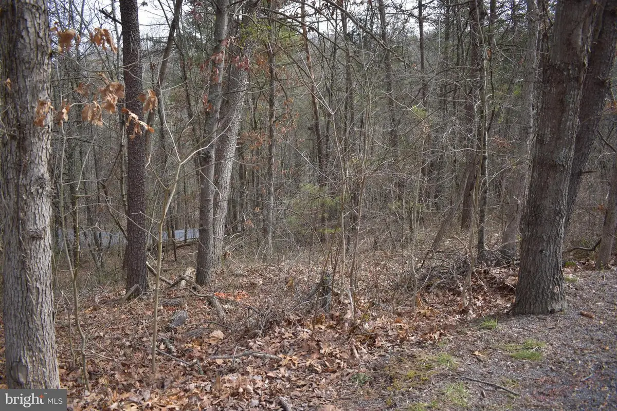 Tbd Cottonwood Rd, Mount Jackson, VA 22842 - Image #1