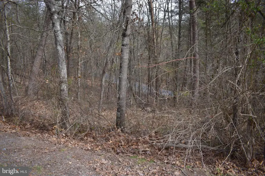 Tbd Cottonwood Rd, Mount Jackson, VA 22842 - Image #2