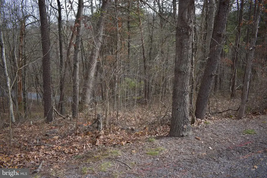 Tbd Cottonwood Rd, Mount Jackson, VA 22842 - Image #3