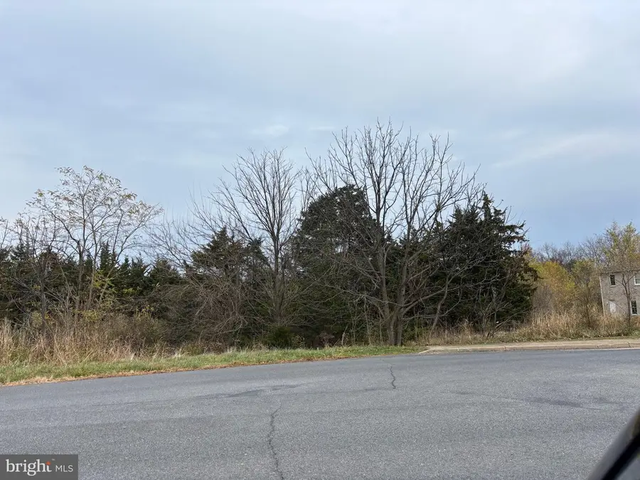 Tbd Signal Knob Dr., Strasburg, VA 22657 - Image #2