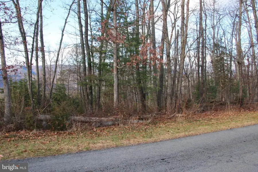 Supinlick Ridge Rd, Mount Jackson, VA 22842 - Image #2