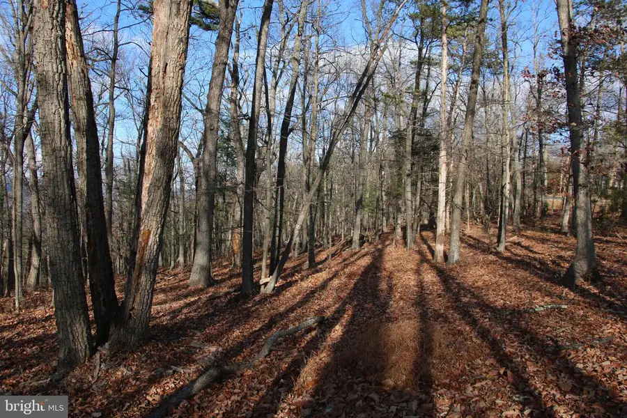 Supinlick Ridge Rd, Mount Jackson, VA 22842 - Image #3