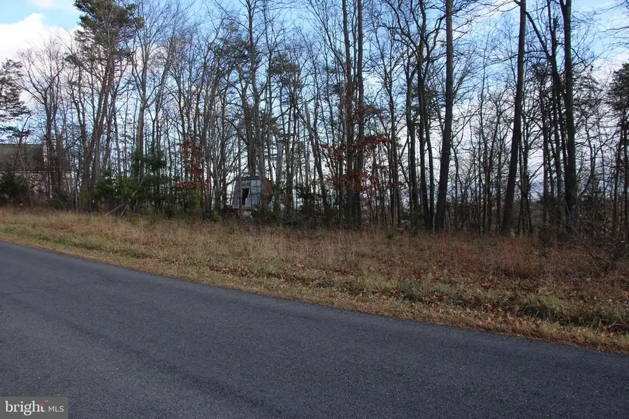 0 Supinlick Ridge Rd, Mount Jackson, VA 22842 - Image #3