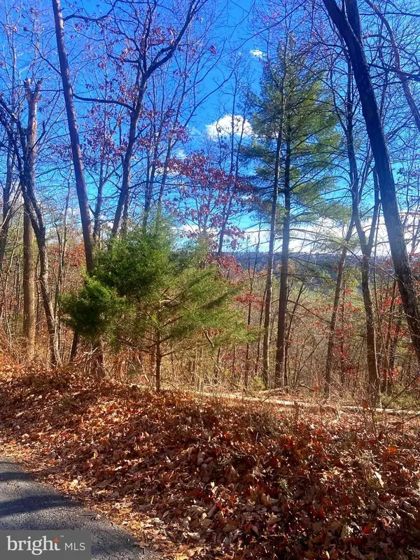 Spitz Ln, BASYE, VA 22810