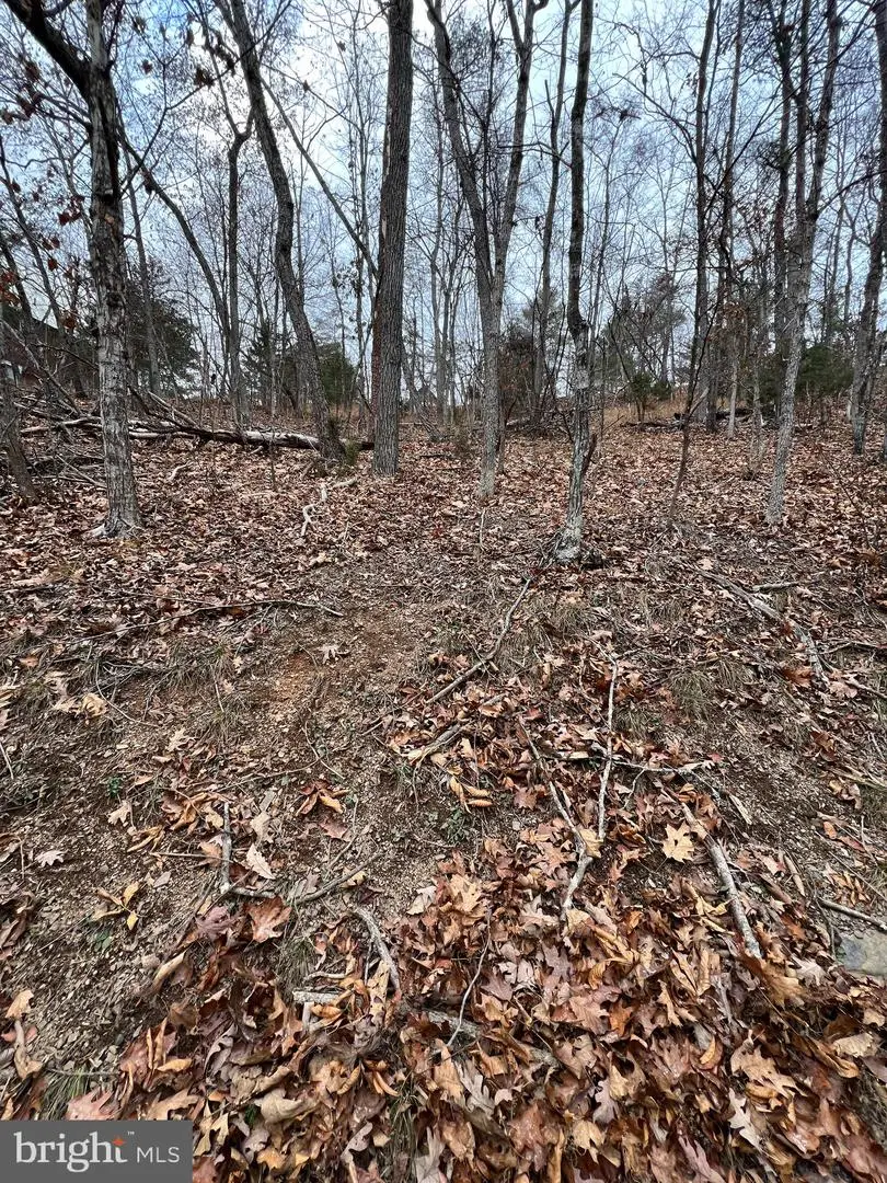 0 Hampton St, Basye, VA 22810 - Image #2