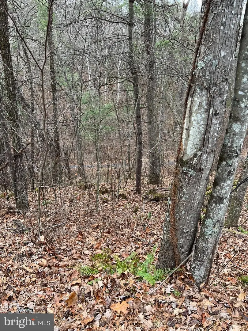 0 Crab Apple, Mount Jackson, VA 22842 - Image #2