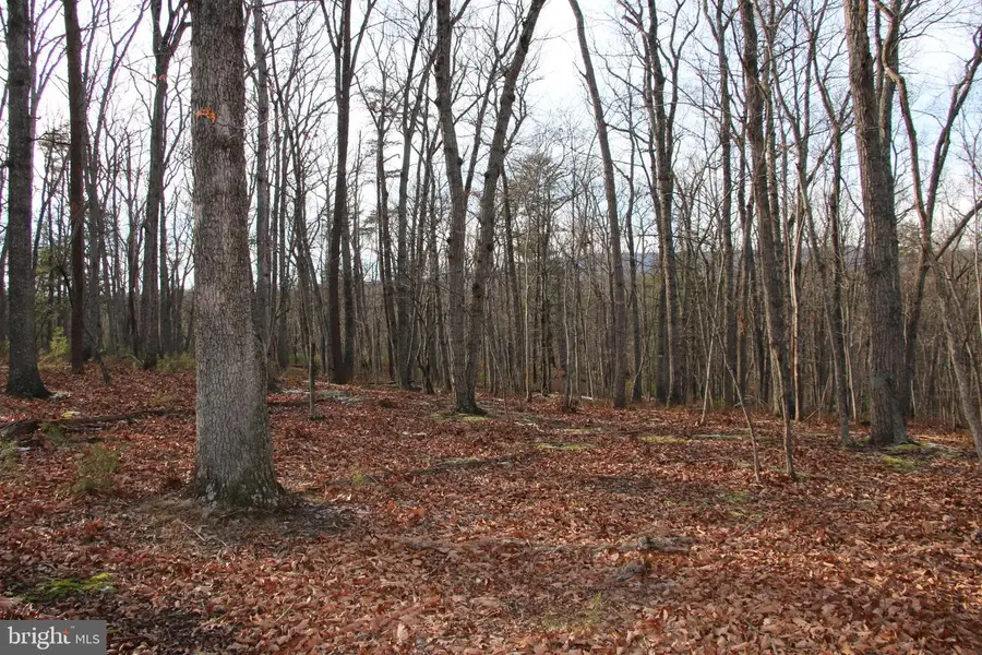 John Marshall Hwy, Strasburg, VA 22657 - Image #3