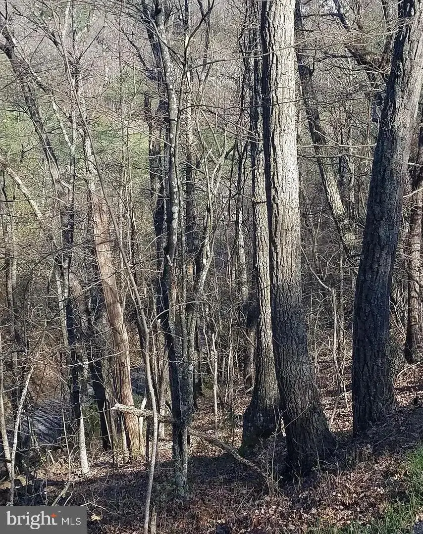 00 Lee Rd, Basye, VA 22810 - Image #3