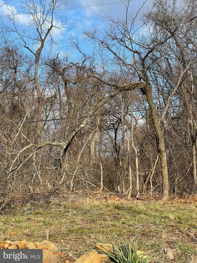 0 Isaac Alley, Woodstock, VA 22664 - #2