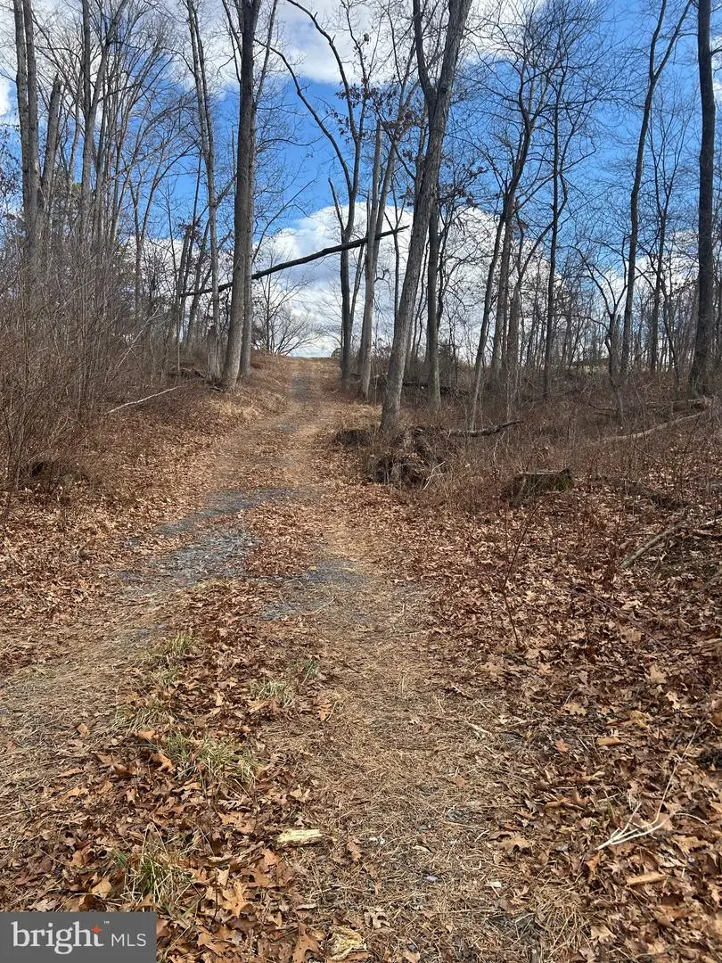 Copp Road, Strasburg, VA 22641 - #3