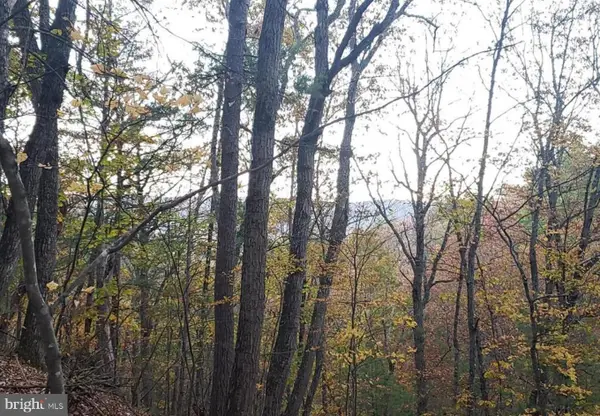 0 Fairway Ave #lot 30, BASYE, VA 22810