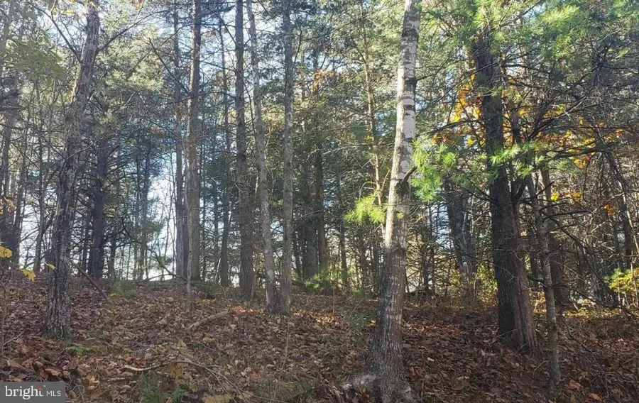 0 Fairway Ave #lot 30, Basye, VA 22810 - #2