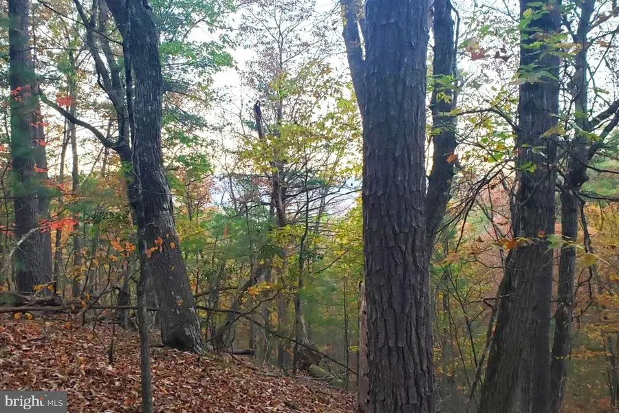 0 Fairway Ave #lot 30, Basye, VA 22810 - #3