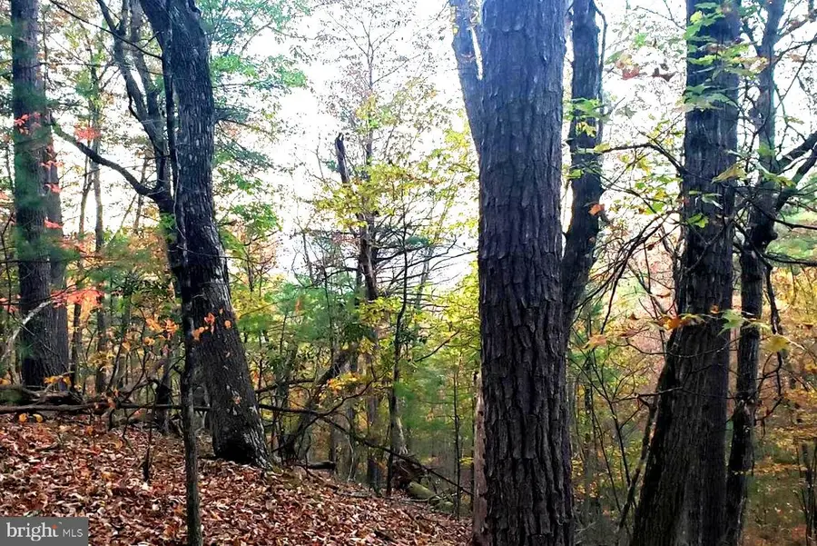 0 Fairway Dr #lot 31, Basye, VA 22810 - #3