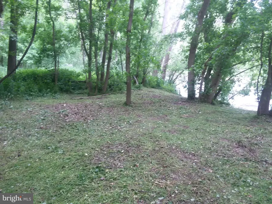 Bear Paw, Maurertown, VA 22644 - #3