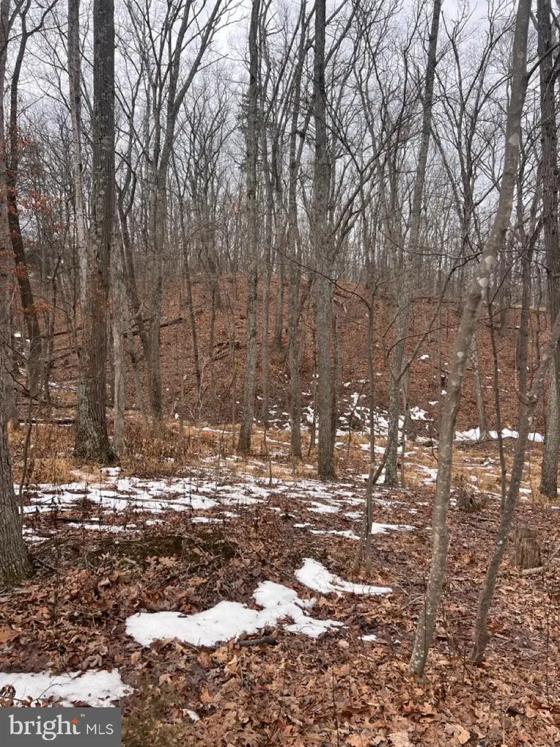 Hummingbird Ln, Star Tannery, VA 22654 - #1