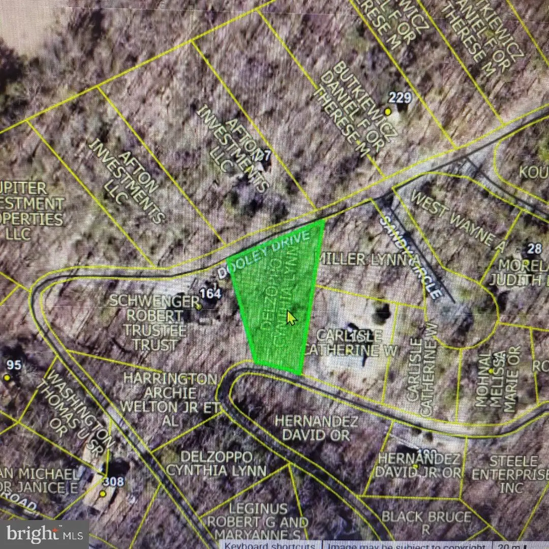 Lot 49 Dooley, Basye, VA 22810 - #1