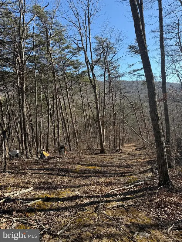 Lot 55 Moreland Gap, NEW MARKET, VA 22844
