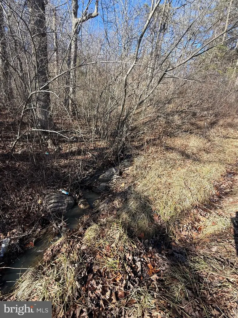 Lot 55 Moreland Gap, New Market, VA 22844 - #2