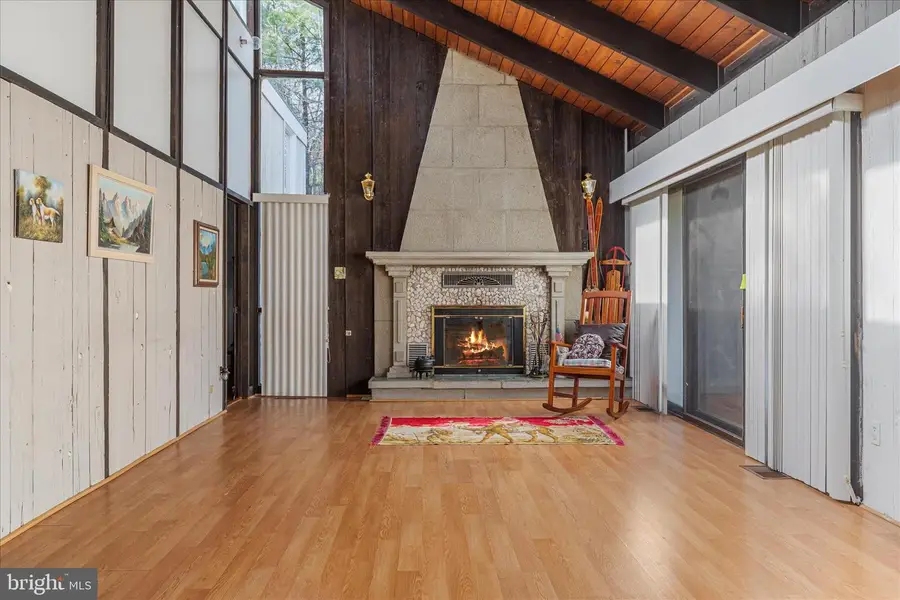 38 Strudel Ct, Basye, VA 22810 - #3