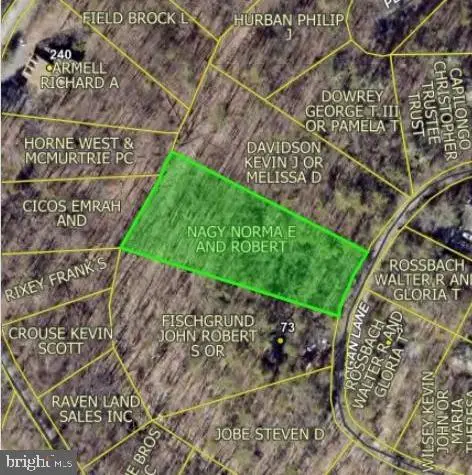 Bogan, Mount Jackson, VA 22842 - #1