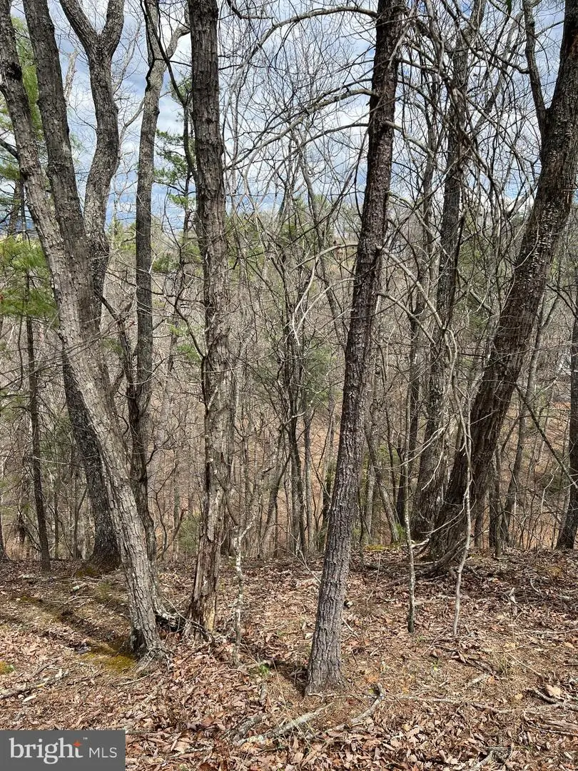 0 Valley View, Basye, VA 22810 - #2