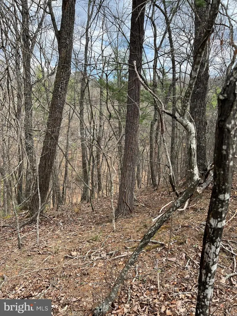 0 Valley View, Basye, VA 22810 - #3