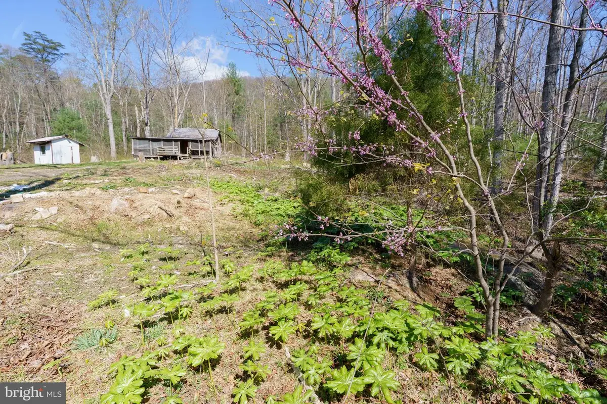 3336 Wolf Gap Rd, Edinburg, VA 22824 - #1