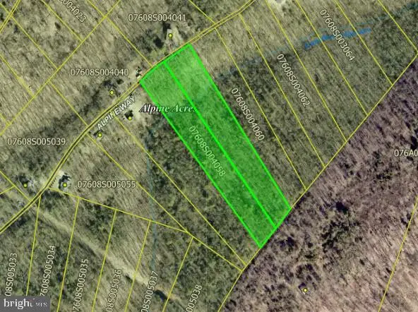 Lots 58 & 59 Alpine Way, MOUNT JACKSON, VA 22842