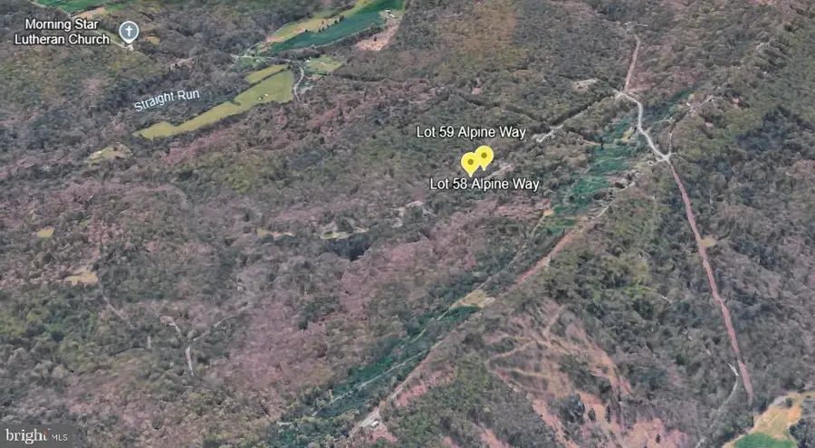 Lots 58 & 59 Alpine Way, Mount Jackson, VA 22842 - #2